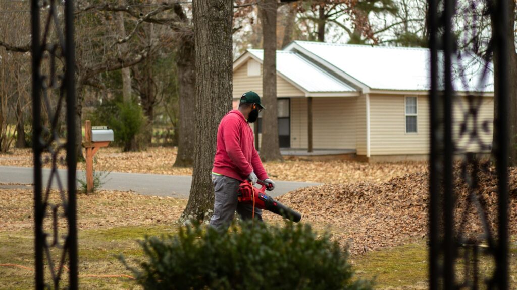 Clean Up Leaves