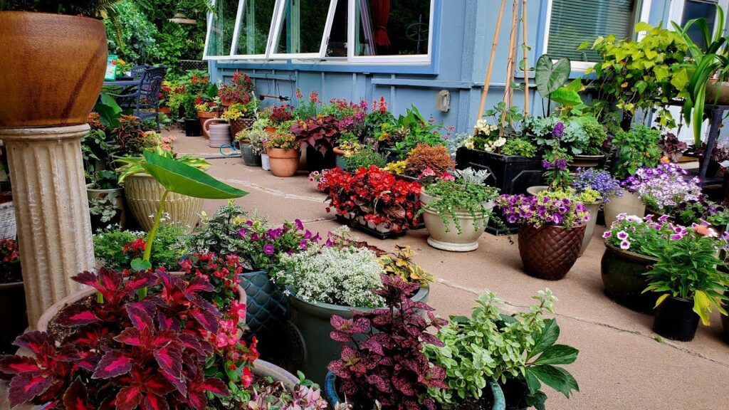 Container Gardening
