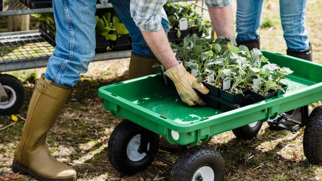 Crop unrecognizable farmers carrying box with green plants