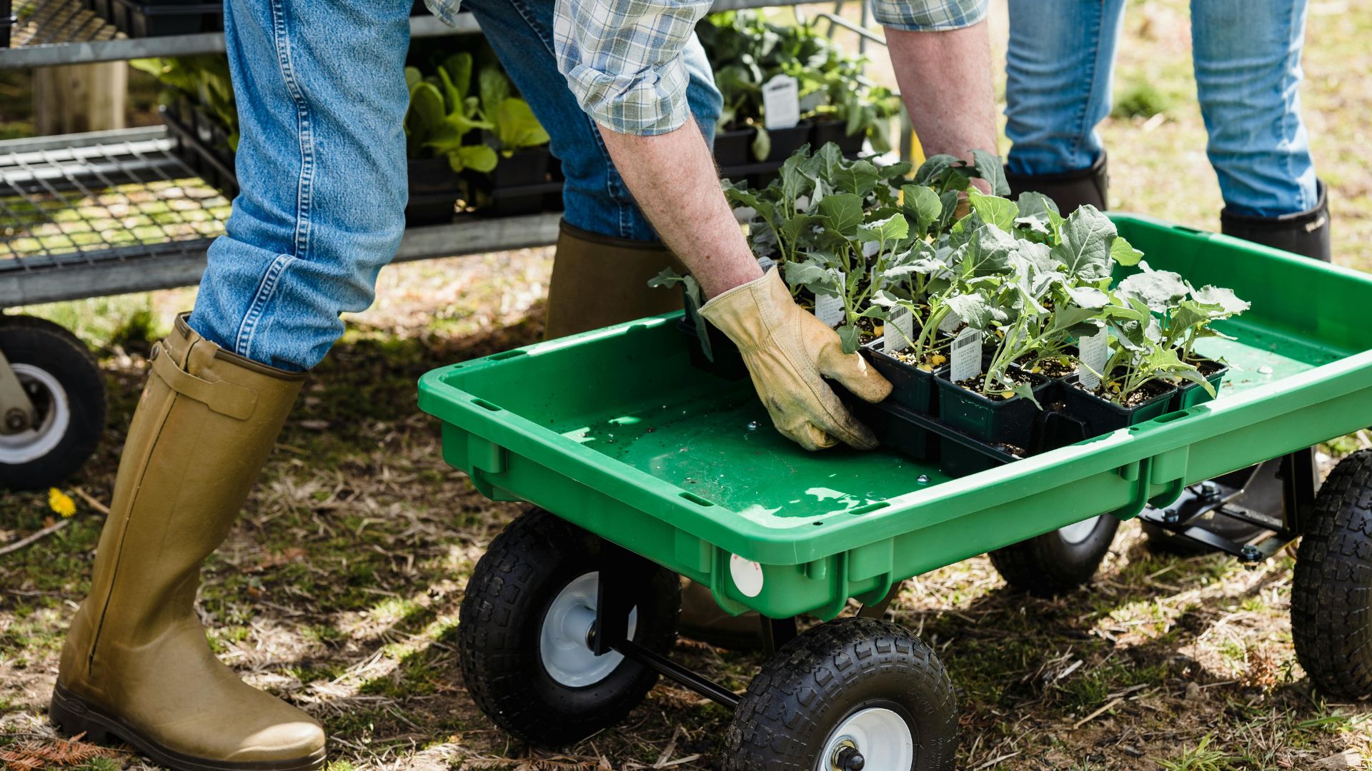 Crop unrecognizable farmers carrying box with green plants