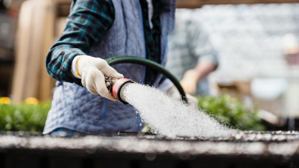 Faceless woman watering planted seeds