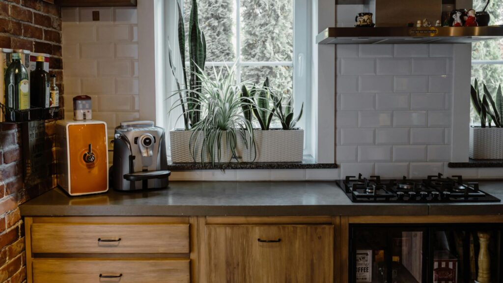 Kitchen Room With Ornamental Plants