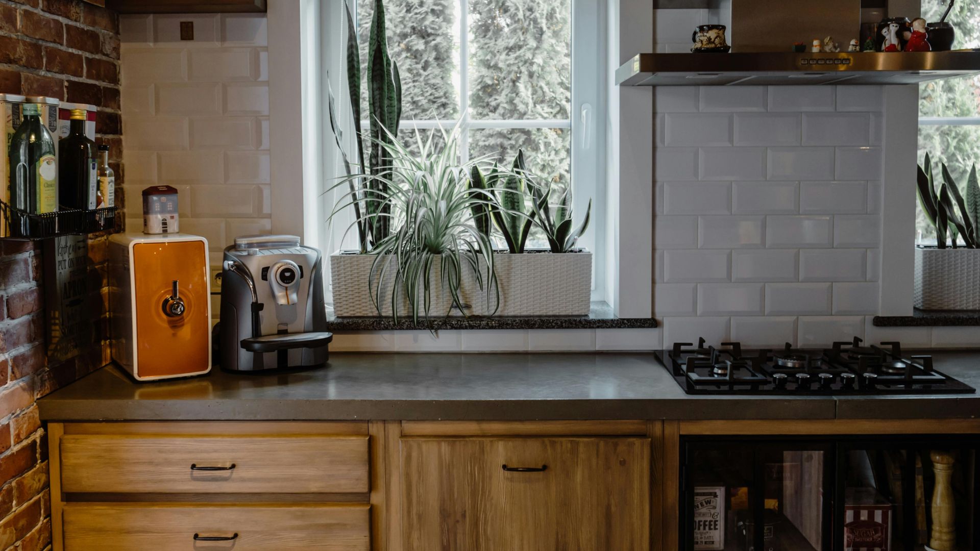 Kitchen Room With Ornamental Plants
