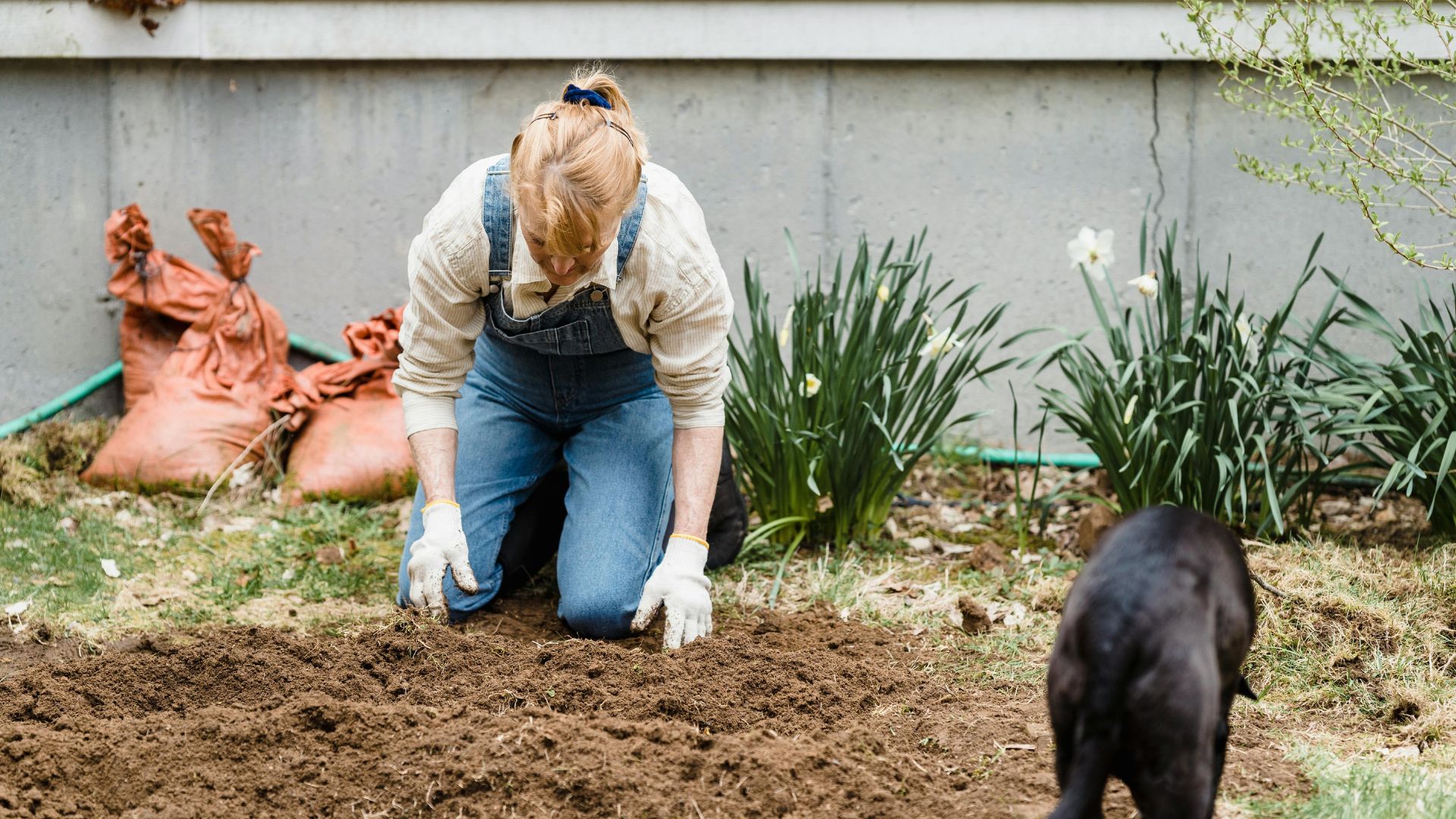 Woman working with soil in garden