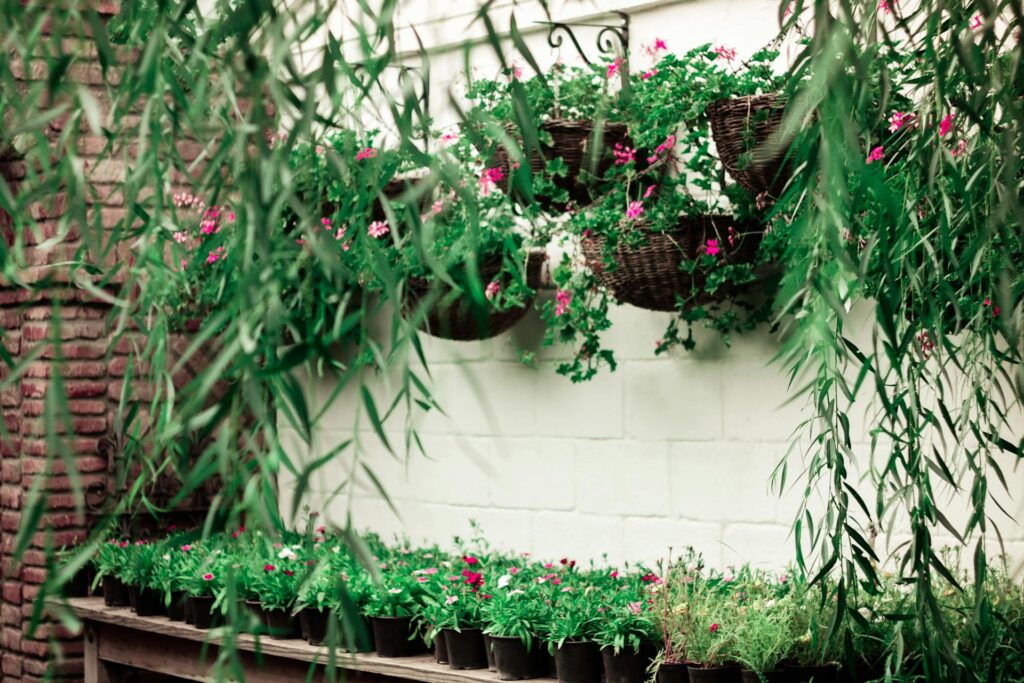green leafed flowering plants