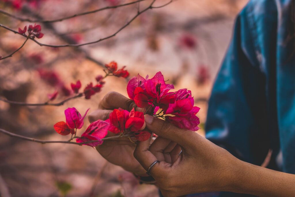 woman plucking flower